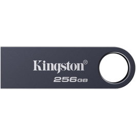 Kingston DataTraveler SE9 G3 256GB Níquel oscuro